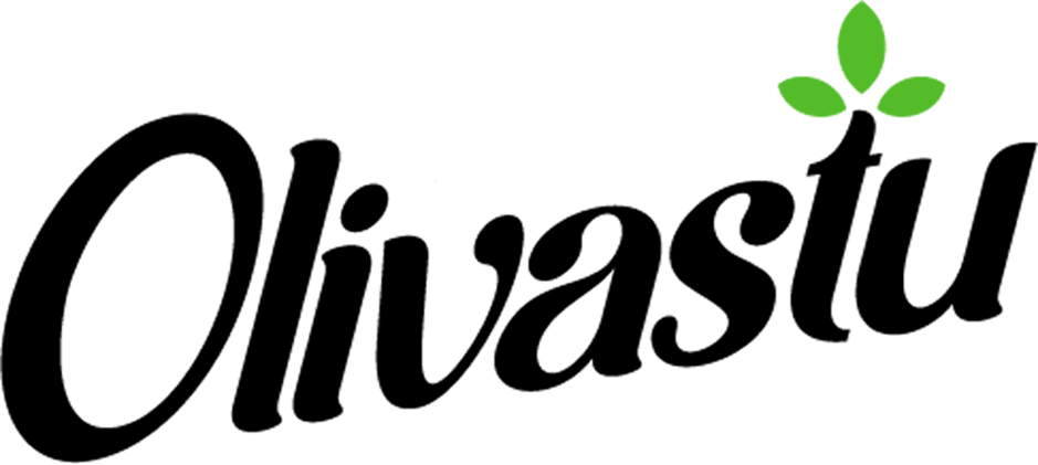 Olivastu